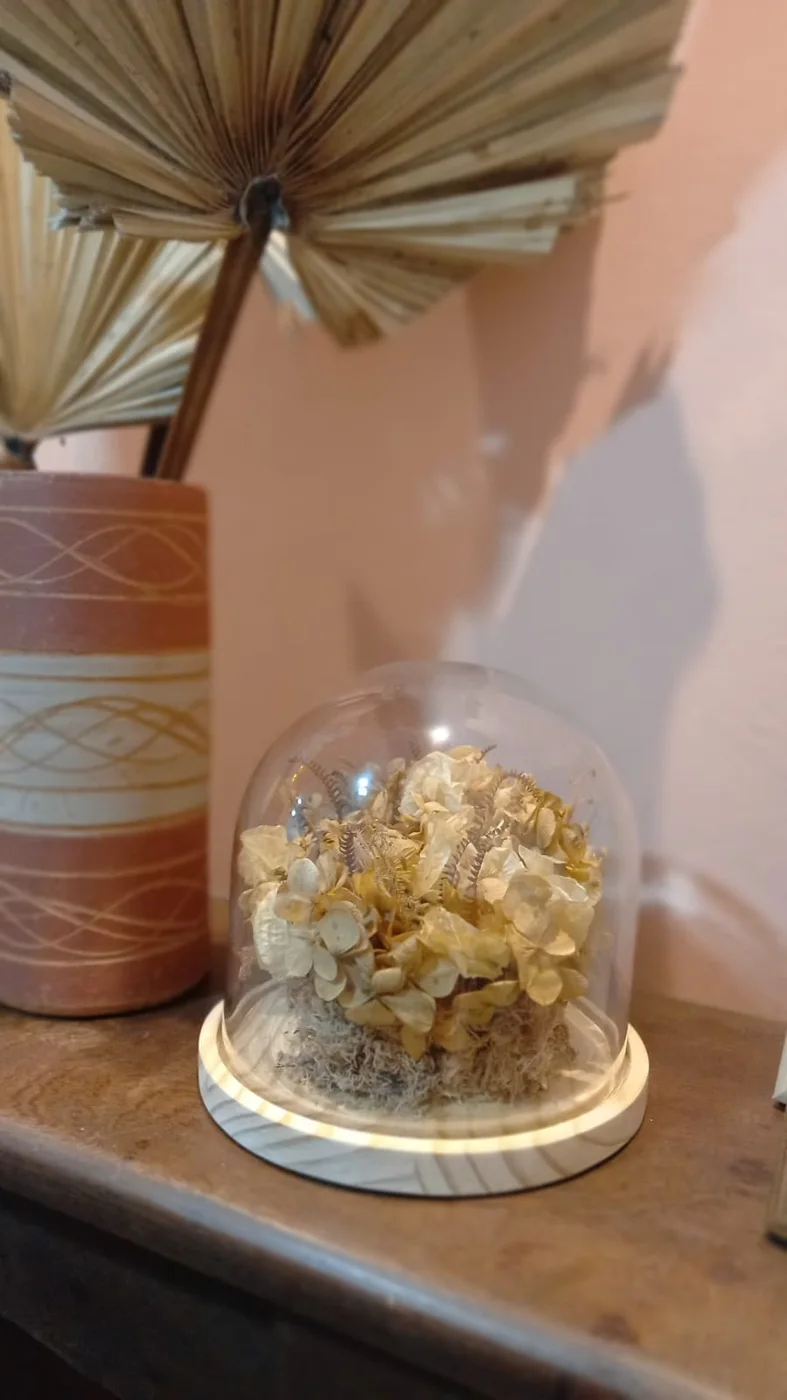 Cúpula de vidro — eternização da Cheiro de Flor